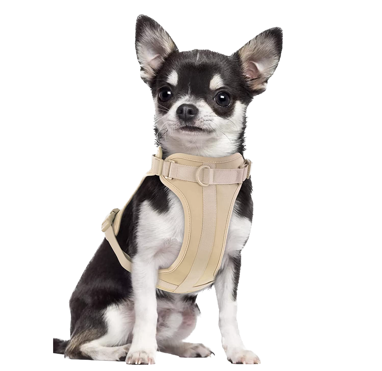 No-Pull Adjustable Stylish Dog Harness with Comfortable Cushion for Walking and Training - Sand