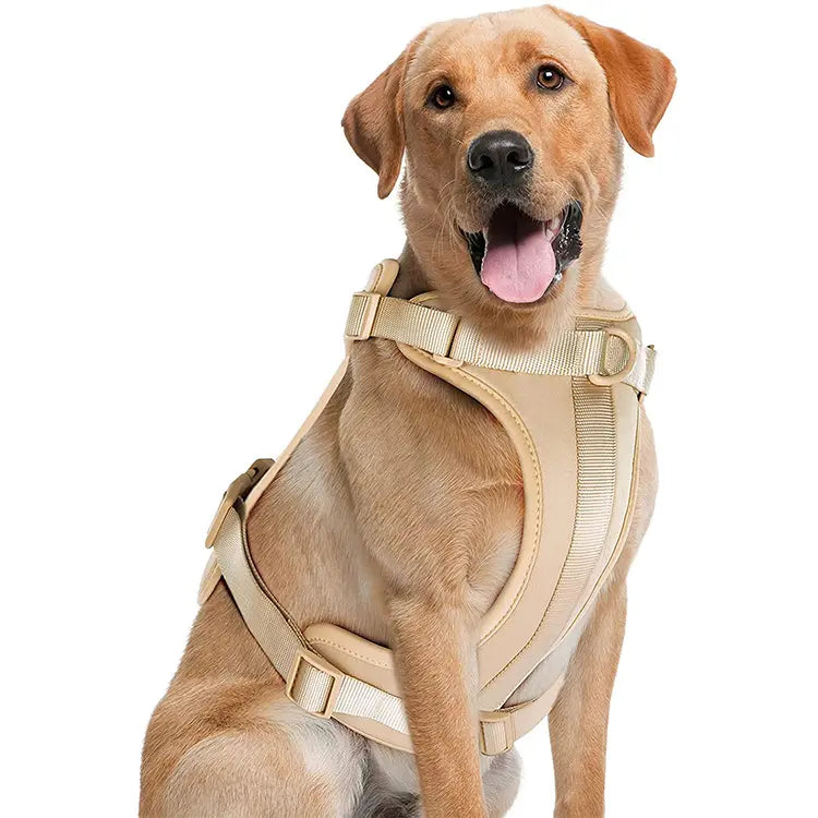 No-Pull Adjustable Stylish Dog Harness with Comfortable Cushion for Walking and Training - Sand