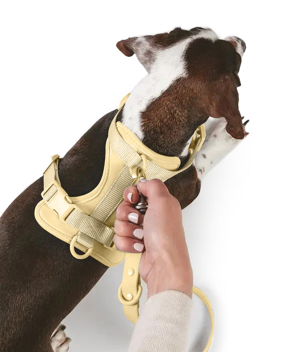 Complete Stylish Dog Walk Set - Harness, Leash, and Poop Bag Holder - Sand
